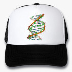 Кепки Trucker