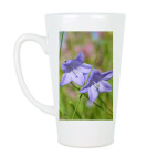 Колокольчики