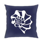 Морская ракушка