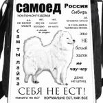 ЧАВО.Взрослый Самоед