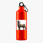 Металлическая бутылка 700 мл UV-DTF