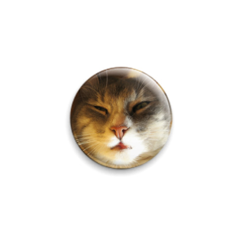 Значок 25мм Кот