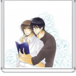 новаки и хироки