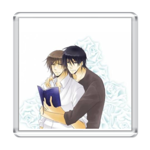 Магнит новаки и хироки