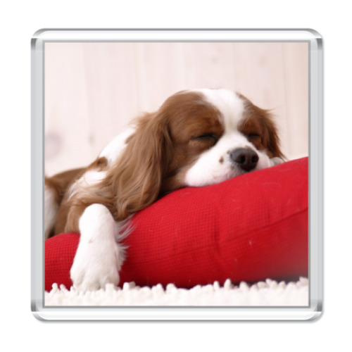 Магнит   Щенок