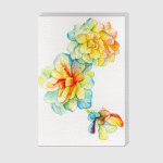 счастливая бегония