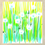 Одуванчики