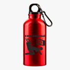 Металлическая бутылка 400 мл UV-DTF