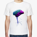 Fairy Brain