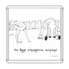 'Эффект страуса'