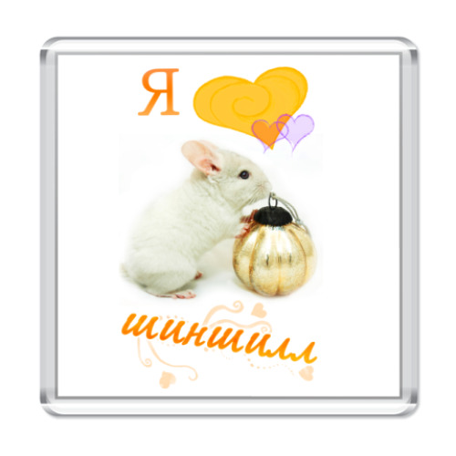 Магнит Шиншилла