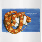 E.guttata creamsicle