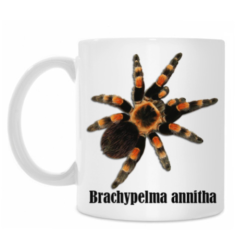 Кружка с принтом Annitha