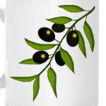 Ветка маслин