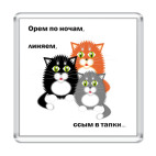 Котики