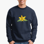 Иланг-иланг