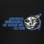 Кот Шрёдингера