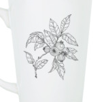 ветка черники