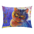Подушка 35x35 см с цветной обратной стороной Радужный кот
