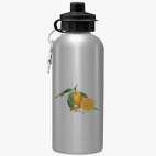 Спортивная бутылка