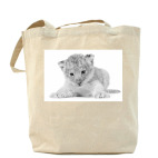 Холщовая сумка