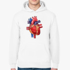 Толстовка худи