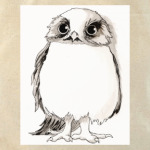 Совы. Совушки. Owl. Owls.