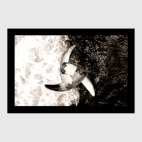 Трискелион из Рогов