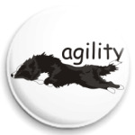 бордер колли