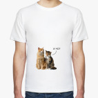 Коты ('И чо?')