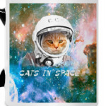 Кот в космосе