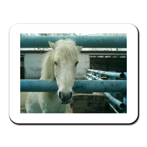 Коврик для мыши с принтом  Лошадь