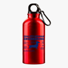 Металлическая бутылка 400 мл UV-DTF