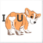 corgi butt