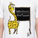 Новосибирский Академгородок