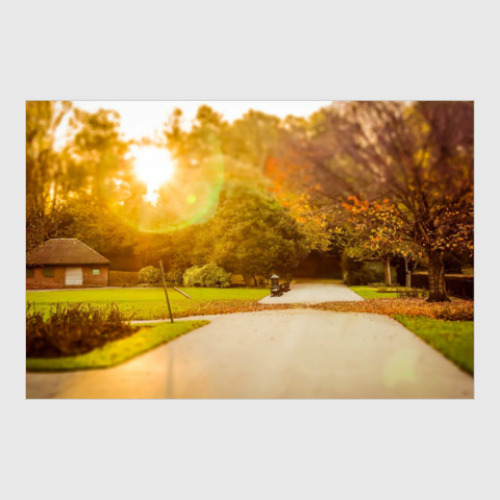 Постер с принтом Утро