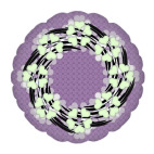 Холодное лето