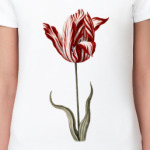 The Flower