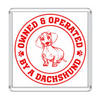 Owned & Operated By Dachshund