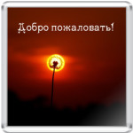  Добро пожаловать!