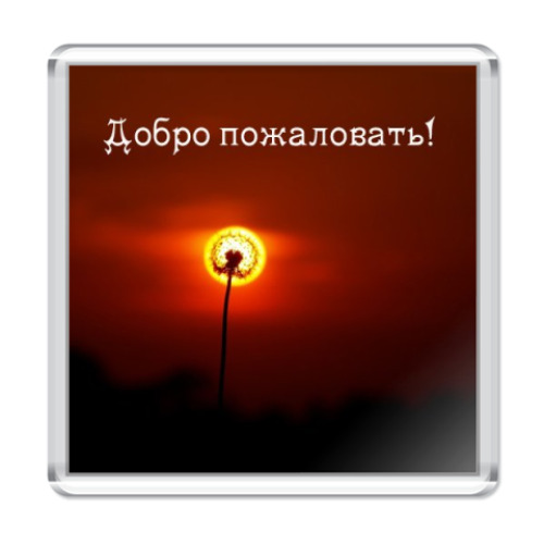 Магнит с принтом  Добро пожаловать!