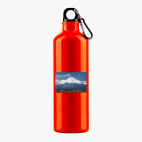 Металлическая бутылка 700 мл UV-DTF