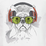 Собака в зеленых очках