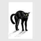 Черная кошка шипит