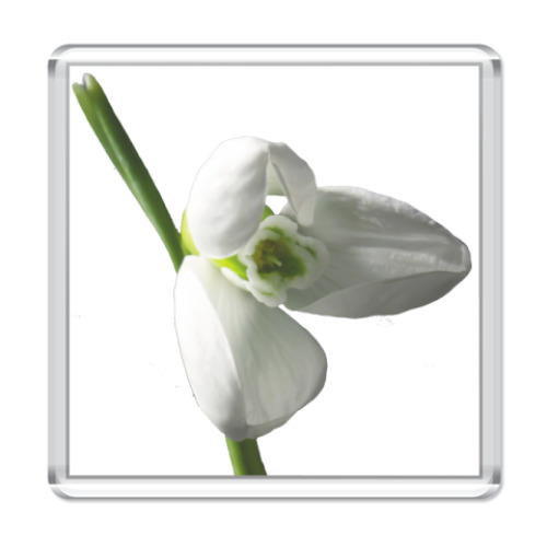 Магнит с принтом Весеннее настроение