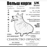 Корги. ЧаВо