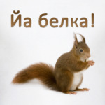 Йа белка!