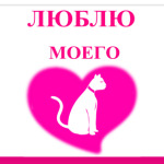 я люблю моего кота