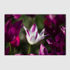 Уникальность