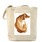 Холщовая сумка